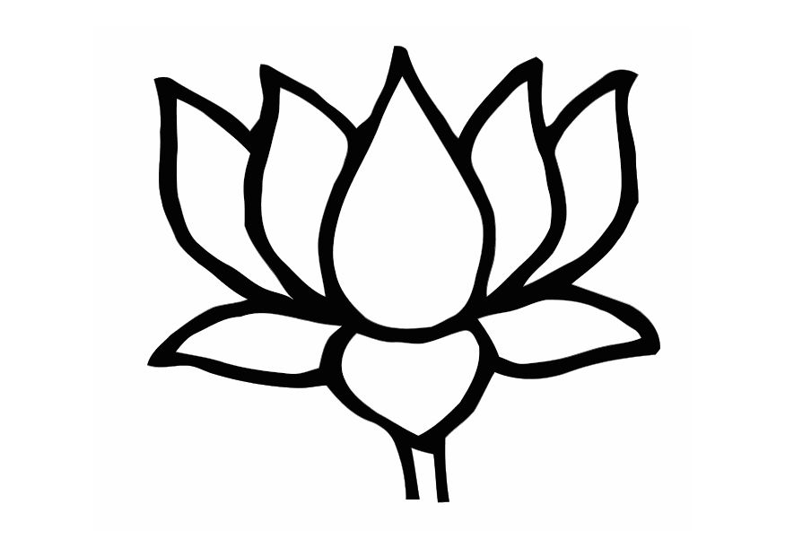 lotus flower drawings